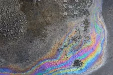 Oil on garage floor